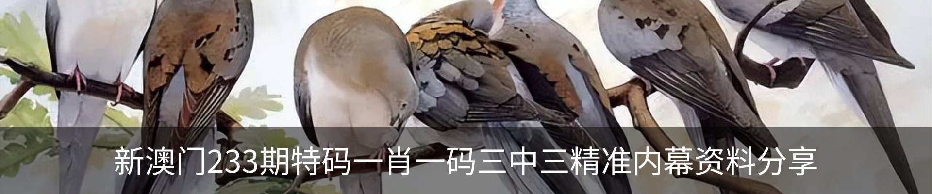 新闻动态