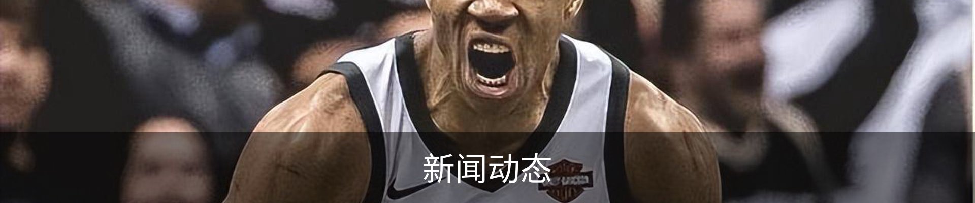 新闻动态